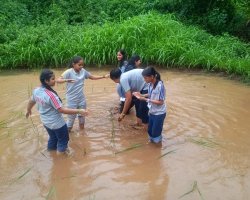 Std VIII Field trip to Forganic farm Khopoli